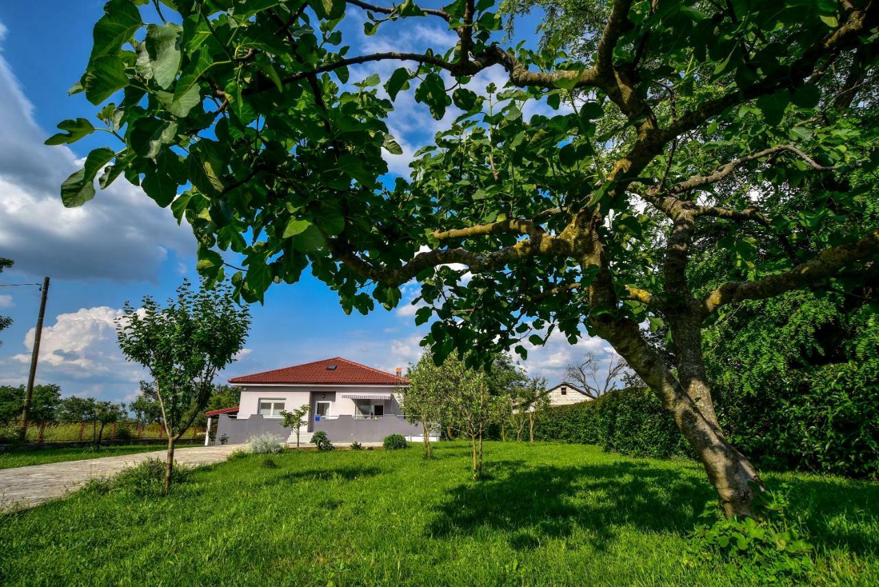 Ankin Dvor Galovac (Zadar) Exterior photo